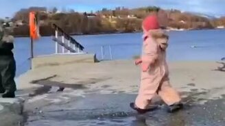 Неизбежное возле лужи - смотреть видео (0:14)