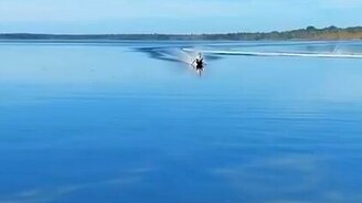 Эффектный выход с воды на сушу - смотреть видео (0:06)