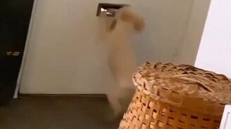 После месяца на карантине - смотреть видео (0:06)