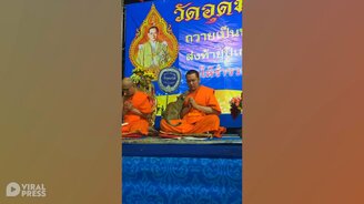 Кошка мешает монаху молиться - смотреть видео (1:17)