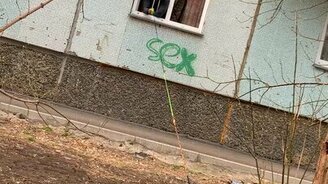 Выгул собаки в карантин - смотреть видео (0:13)