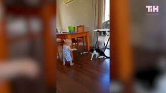 20 минут смешного и интересного - смотреть видео (20:00)