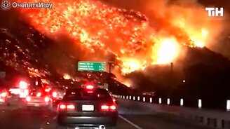 Австралия в пожарах - смотреть видео (6:40)