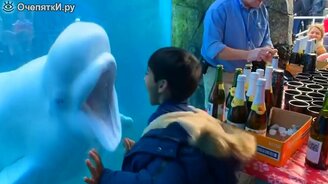Белуха общается с детишками - смотреть видео (9:02)