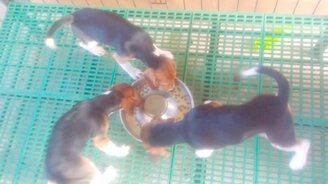 Зарядка за завтраком - смотреть видео (0:20)