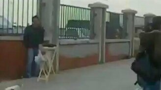 Кошачья охота провалилась - смотреть видео (0:26)