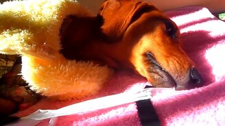 Позитивные маски от коронавируса - смотреть видео (2:19)