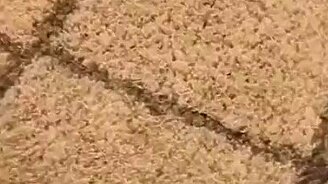 Приготовься испугаться - смотреть видео (0:24)