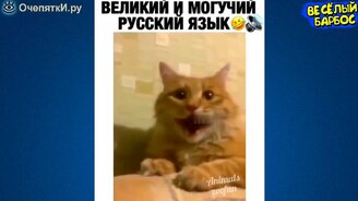 Разные животные в смешных сюжетах - смотреть видео (10:07)