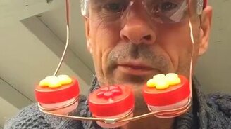 Как кормить и наблюдать за колибри - смотреть видео (0:33)