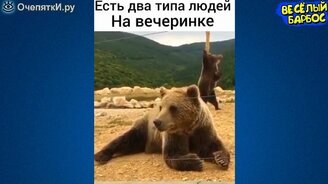 Радующие глаз и трогающие душу питомцы - смотреть видео (10:16)