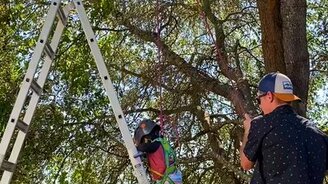 Тренировка для сынишки - смотреть видео (0:56)