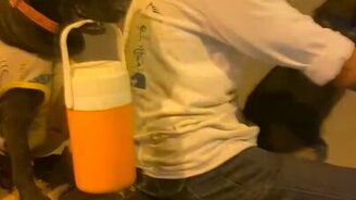 Верный пассажир на мопеде - смотреть видео (0:18)