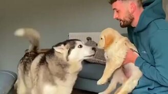 Теперь у меня есть друг! - смотреть видео (0:55)