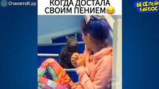 Различные животные в задорных сюжетах - смотреть видео (11:12)