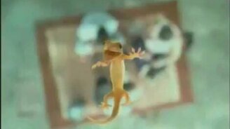 Чудная реклама панелей - смотреть видео (0:53)