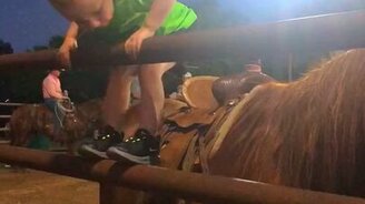 Малыш седлает лошадь - смотреть видео (0:58)