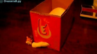 Ловит мышку из норки - смотреть видео (2:17)