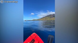 Каякер встретил кита - смотреть видео (1:38)