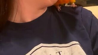 Попугай очень любит пение - смотреть видео (0:09)