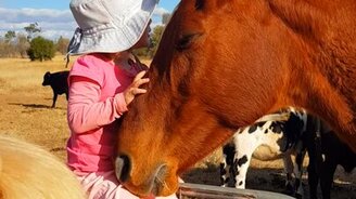 Девочка напевает лошади - смотреть видео (0:45)