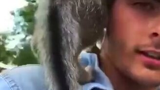 А это точно щенок? - смотреть видео (0:25)