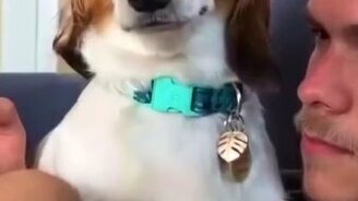 Кажется, он что-то задумал - смотреть видео (0:11)