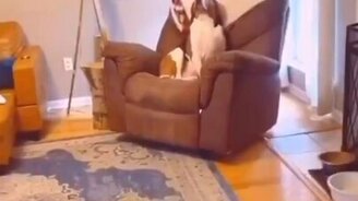 Главное - не смотреть в глаза - смотреть видео (0:08)