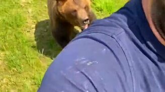 Медведь гонится за человеком - смотреть видео (0:18)