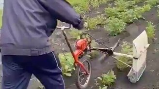 Как быстро собрать жука с картошки - смотреть видео (0:33)