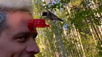 Кормление птички со лба - смотреть видео (0:33)