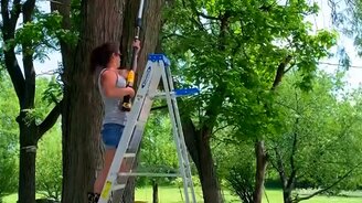 Женщина спиливает ветку - смотреть видео (0:13)