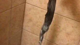 Знатный засор - смотреть видео (0:24)