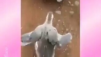 А я иду такая вся... - смотреть видео (0:37)