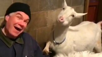 Давай позировать - смотреть видео (0:18)