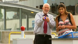 Случайно убили голубя - смотреть видео (1:28)