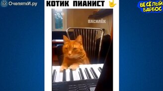 10 минут симпатичных и смешных животных - смотреть видео (9:56)