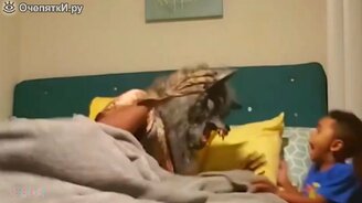 Яркие испуги людей и животных - смотреть видео (9:50)