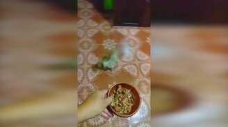 Ура, я буду есть! - смотреть видео (0:41)