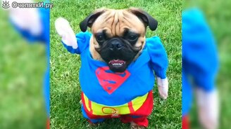 Иностранные весёлые сюжеты - смотреть видео (9:46)