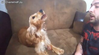 Самые смешные мгновенья июня - 2020 - смотреть видео (10:11)