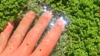 Загадка под травой - смотреть видео (0:11)