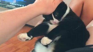 Езжай обратно в отпуск! - смотреть видео (0:44)