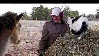 Носом ласкает кошку - смотреть видео (1:14)