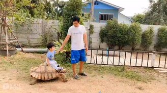 Мальчуган на черепахе - смотреть видео (0:50)