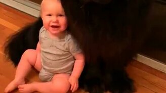 Это мой добрый друг! - смотреть видео (0:18)