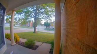 Муравьи крадут письмо - смотреть видео (0:30)