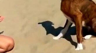 Ах, куда делся мячик? - смотреть видео (0:12)