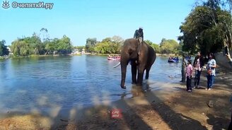 Яркие всплески 2020 года - смотреть видео (9:51)