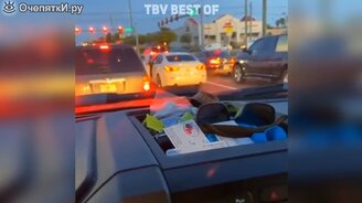 Приколы с глупцами-смельчаками - смотреть видео (10:37)